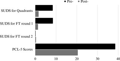 AIP-based Professional Intervention Program for Adversity for trauma and stress reduction in groups: a pilot study in Ethiopia